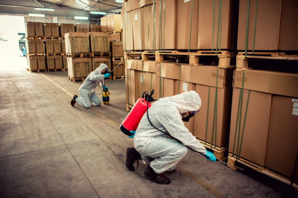 Best Pest Control Near Me  in Canaan, CT