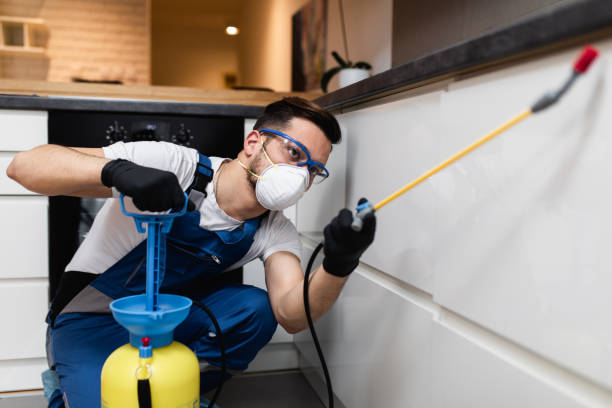 Best Cockroach Control Services  in Canaan, CT