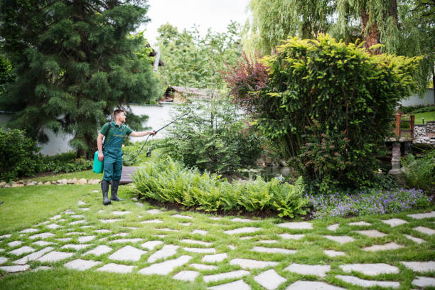 Best Mosquito Control Services  in Canaan, CT
