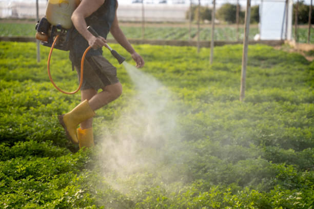 Professional Pest Control in Canaan, CT