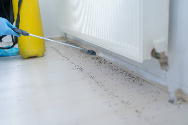 Best Best Pest Control Companies  in Canaan, CT